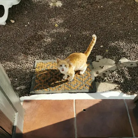 Cecilio Bed & Breakfast