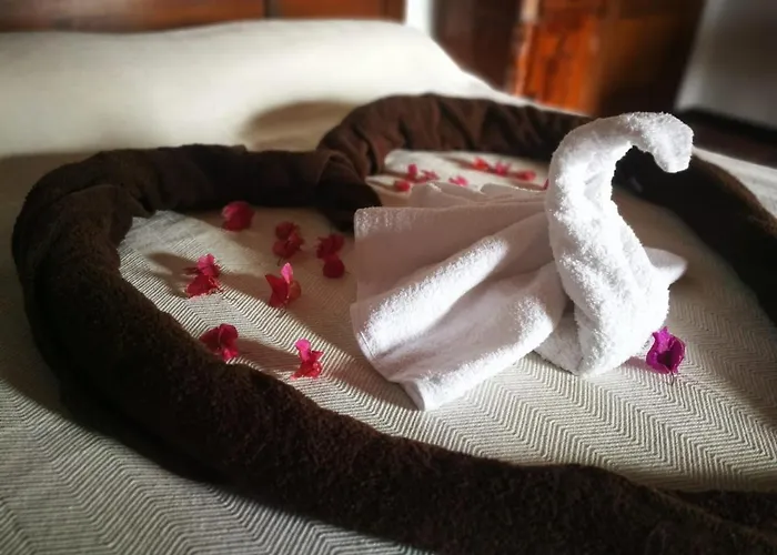 Cecilio Bed and breakfast Tefía