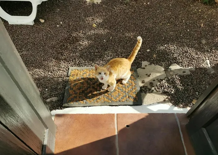 Cecilio Bed and breakfast