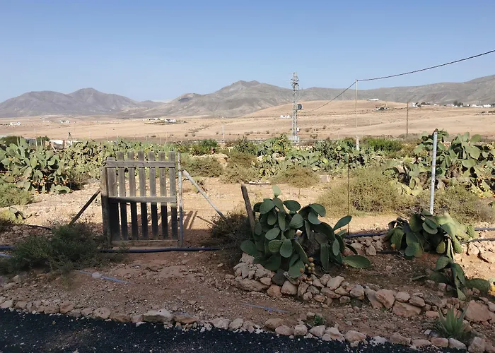 Cecilio Bed & Breakfast Tefía